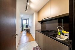 Park Colonial (D13), Condominium #480824511